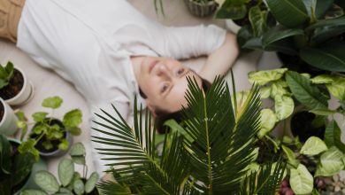 A Beginner's Guide to Natural Wellness Alternatives
