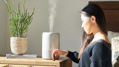 5 Eco-Friendly Indoor Air Purifiers for a Healthy Home