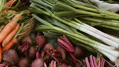 How to Grow Green Onions (Step by step guide)
