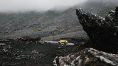 Eco-Friendly Road Trip Planning: 7 Ways To Enjoy A Greener Adventure