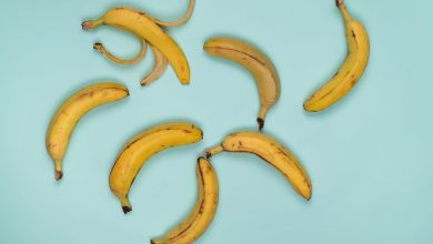 The Hidden Costs Of Food Spoilage: Economic, Environmental, And Health Impacts