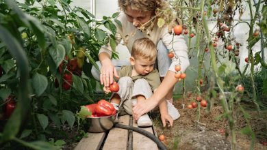 How to Teach Children About Earth Day, Climate Change and Going Green