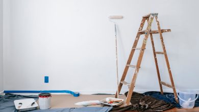 Sustainable Home Renovations By Room: Practical Ideas For Every Space
