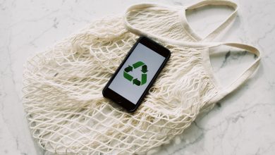 5 Ways Sustainability Can Make You Money