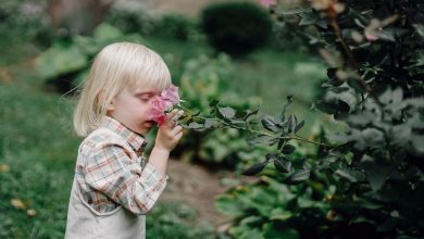 Why Fresh Flowers at Home Are Great for Your Toddler’s Health