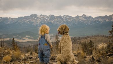 The Best Pets for Younger Children