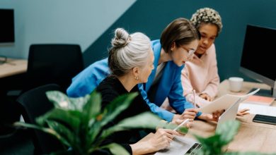 Key Considerations When Starting a New Sustainable Company with Protection
