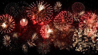 Why Rockets Steal the Show: The Thrill of Firework Displays