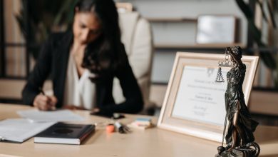 Navigating the Criminal Justice System With Professional Legal Help