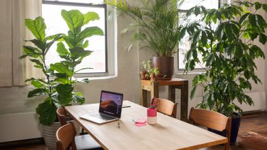 Green Marketing for Eco-Friendly Startups: Do’s, Don’ts, and Examples