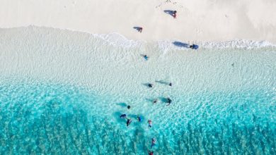 Raising Little Explorers: How Luxury Eco Travel Can Inspire Young Minds