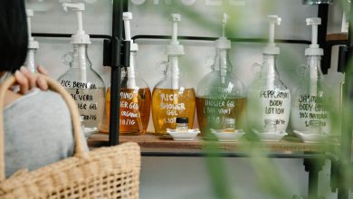 The Entrepreneurial Journey: 7 Green Business Ideas to Try