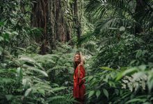 How Eco-Friendly Technology is Empowering Sustainable Travel