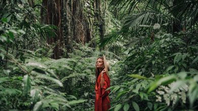 How Eco-Friendly Technology is Empowering Sustainable Travel