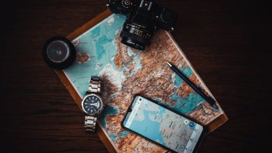Essential Phone Gear to Have for a Successful Road Trip and Seamless Travel Experience