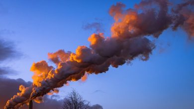 Why Measuring Carbon Footprints Is the First Step Toward Net Zero Operations