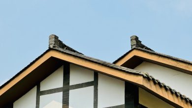 Sustainable Roofing Materials Transforming Green Building