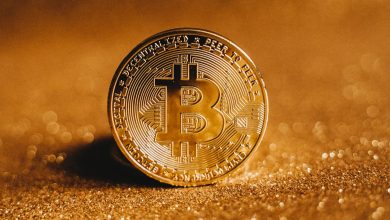 Why Are Corporations Holding Bitcoin?