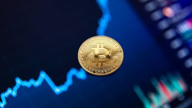 What Players Should Know About the Legal Side of Crypto Gambling