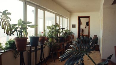 How to Build a Sustainable Garden Room in England and Wales: A Practical Guide