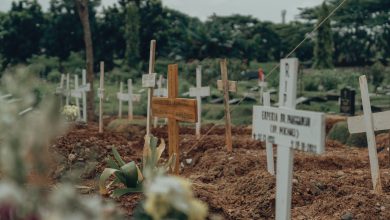 Returning to the Earth: A Guide to Eco-Friendly Burial Options
