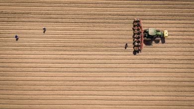 Essential Farm Resources & Sustainable Agriculture Practices