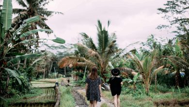 Intentional Travel Trends & the Rise of Quiet Tourism