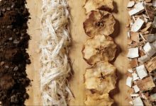 What Is Mycelium Leather? How Mushroom-Based Fashion Is Reshaping Sustainable Style