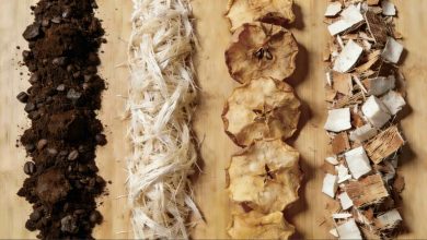 What Is Mycelium Leather? How Mushroom-Based Fashion Is Reshaping Sustainable Style