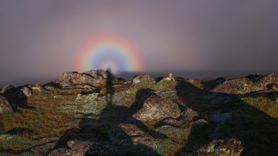 The Day of the Lord Explained: Meaning, Prophecy and Biblical Significance