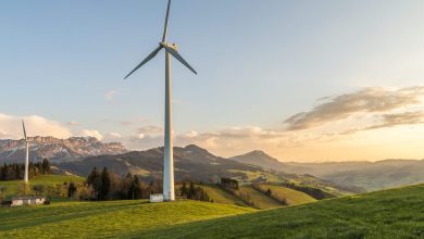 Why Wind Turbine Blade Maintenance Is Essential for Sustainable Energy
