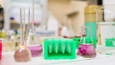 How Shared Lab Spaces Are Helping Biotech Startups Navigate a Challenging Funding Environment
