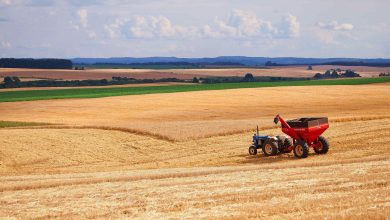How Agri-Tech Is Reshaping Sustainable Farming