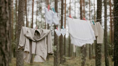 Best Non-Toxic Laundry Detergents: What to Compare Before You Buy