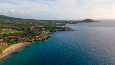 A Guide to Choosing Accommodation in Maui: Condo Rentals vs Hotels