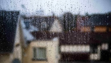How Professional Movers Prepare for Unexpected Weather